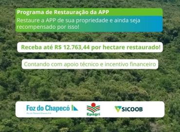 PROGRAMA RESTAURAÇÃO DE APP